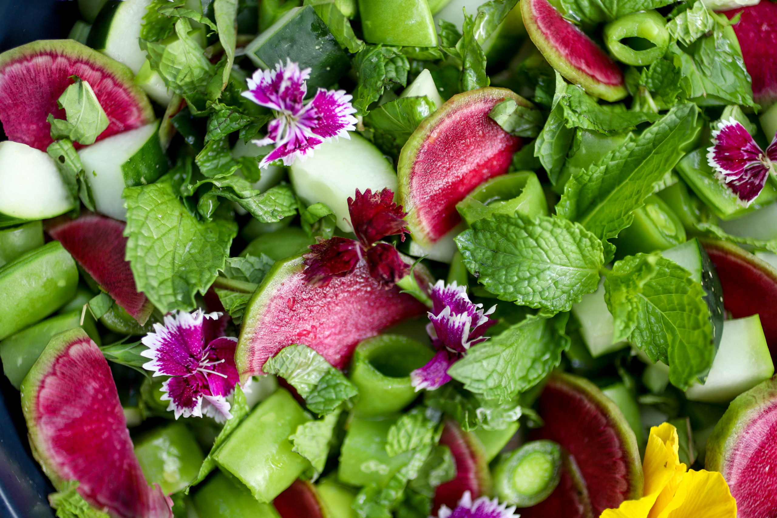Fresh Sugar Snap Pea Salad with Radish, Corn, and Mint : Plants-Rule